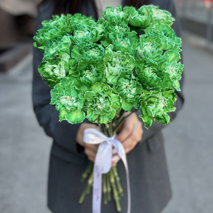 Гвоздика Грин Вайт Молли