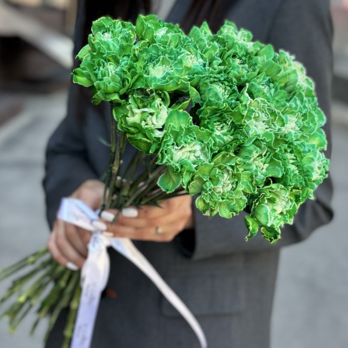 Гвоздика Грин Вайт Молли