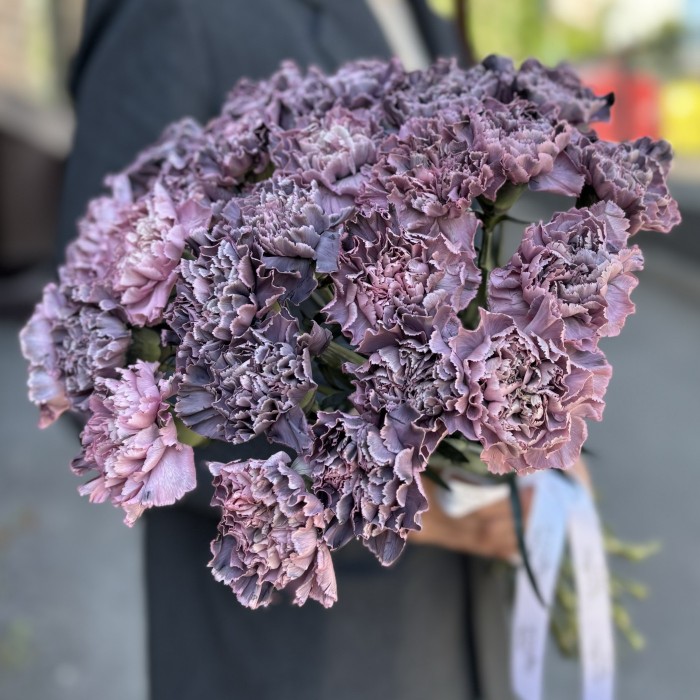 Гвоздика Пинк блэк Молли