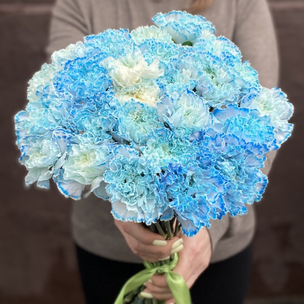 Гвоздика голубая Блю Молли