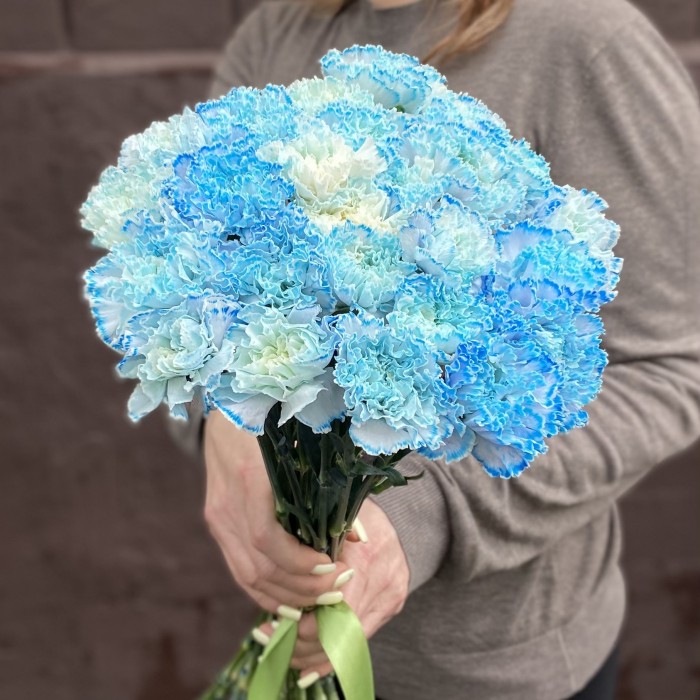 Гвоздика голубая Блю Молли