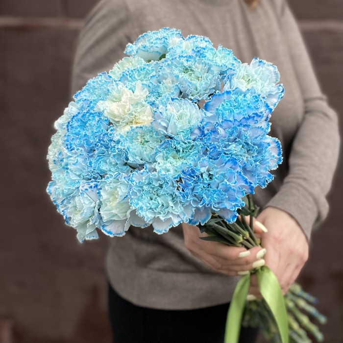 Гвоздика голубая Блю Молли