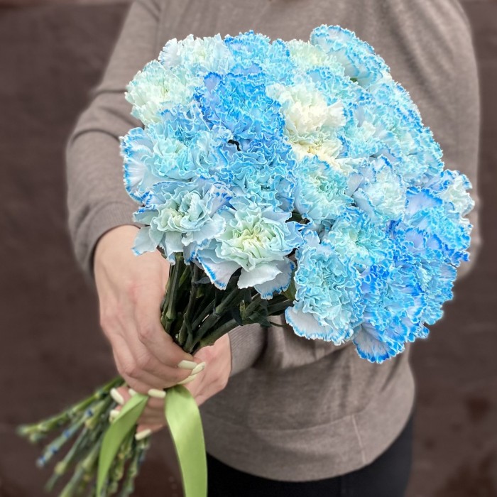 Гвоздика голубая Блю Молли