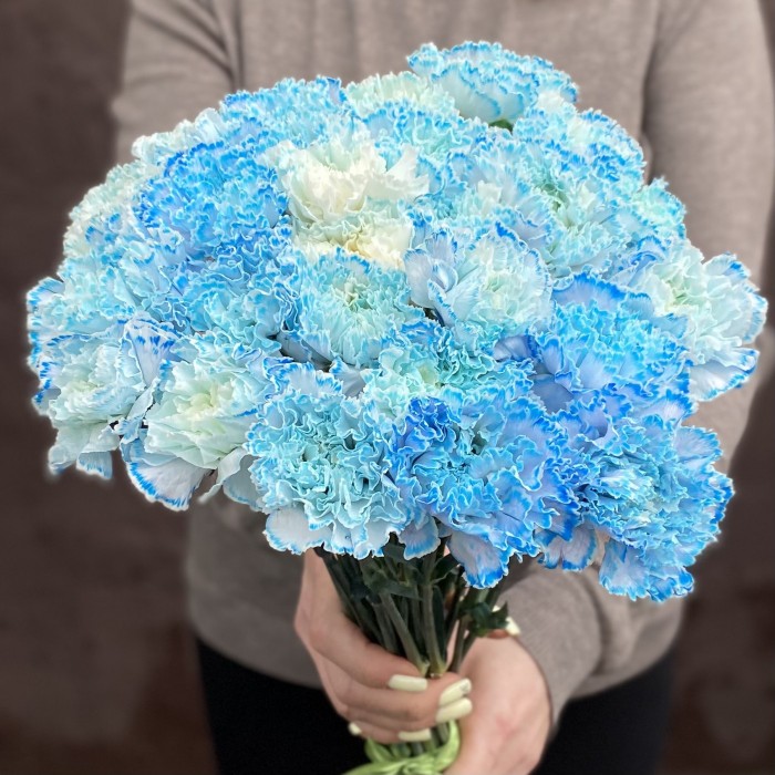 Гвоздика голубая Блю Молли