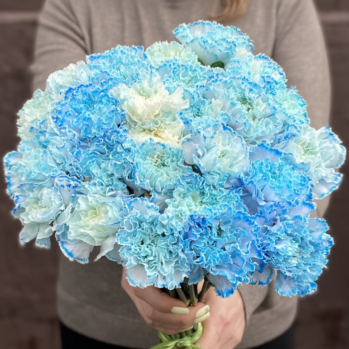 Гвоздика голубая Блю Молли