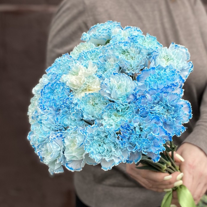 Гвоздика голубая Блю Молли