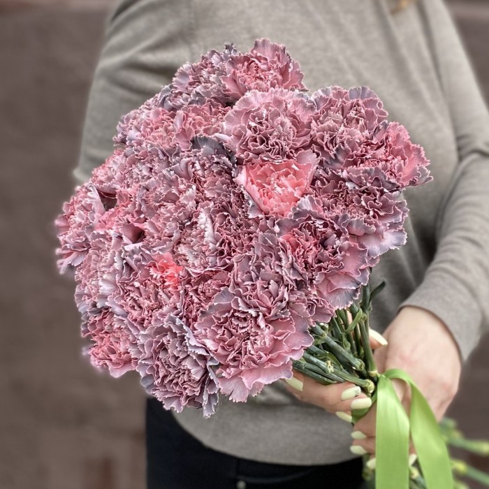 Гвоздика Пинк блэк Молли