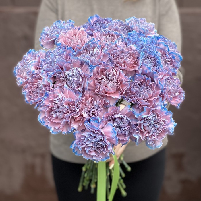 Гвоздика Пинк блю Молли