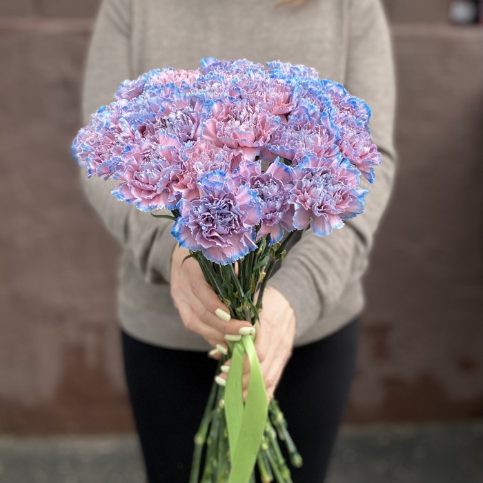 Гвоздика Пинк блю Молли