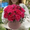 Малиновые гвоздики в коробке