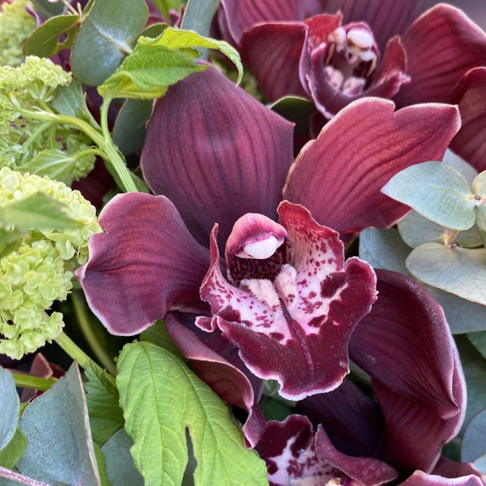 Букет из орхидей и вибурнума