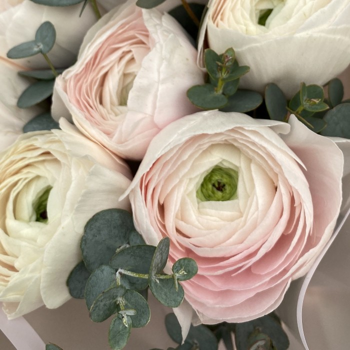 Букет из ранункулюсов с генистой