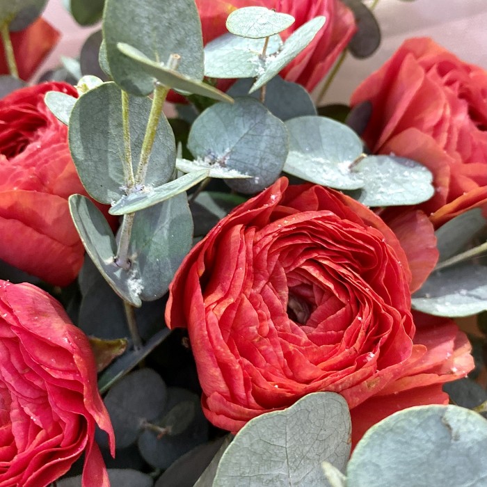 Букет красных ранункулюсов с эвкалиптом