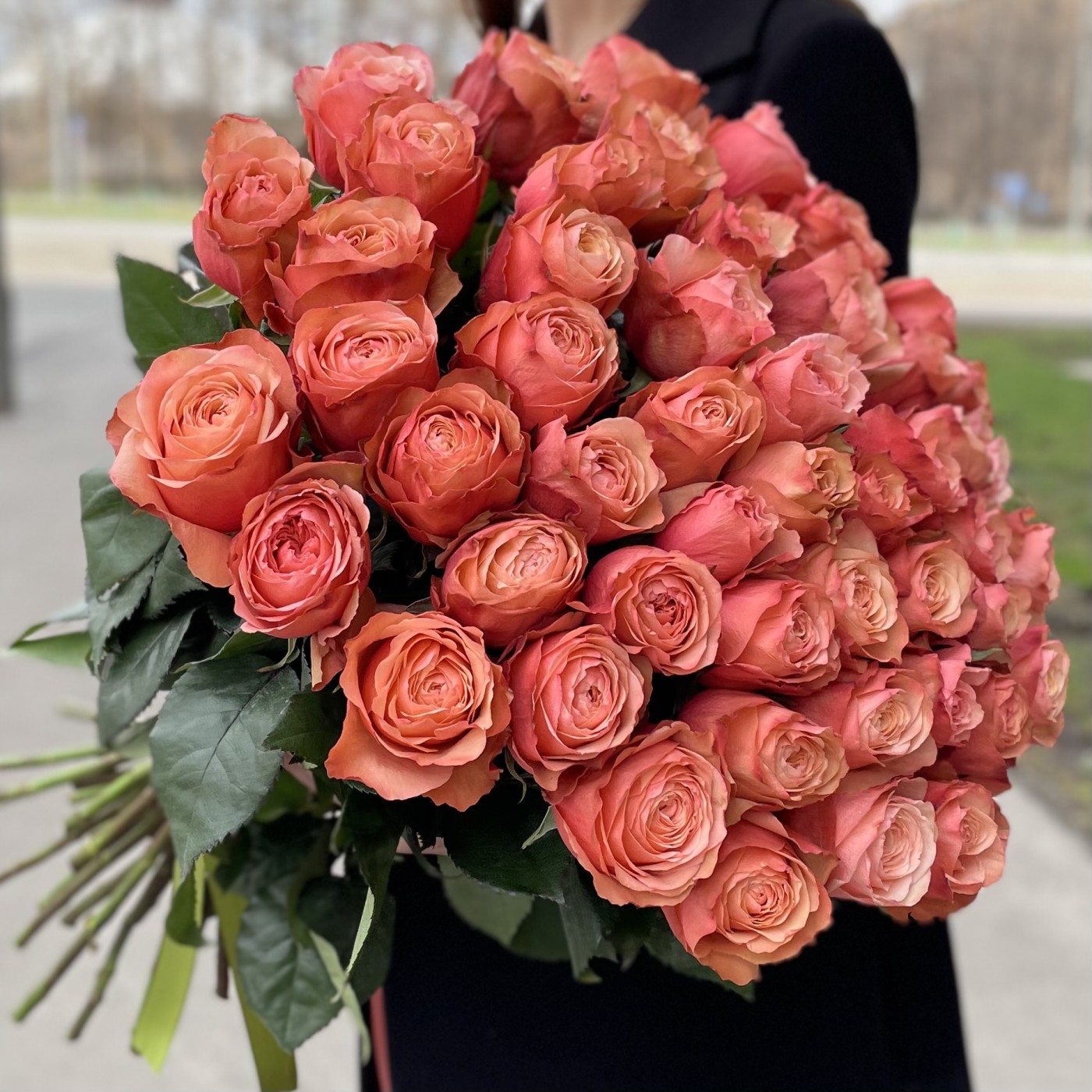 Роза кохала купить купить цветы в твери дешево с доставкой