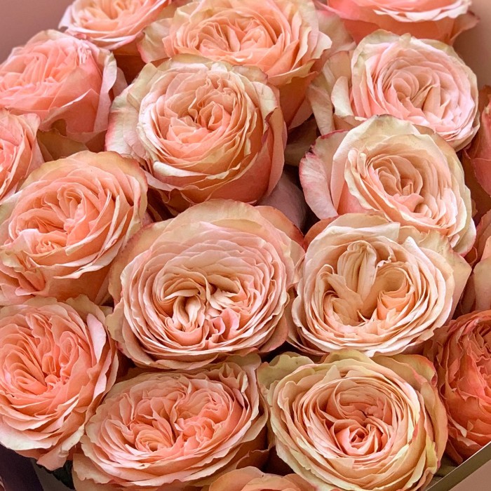 Букет Кахала