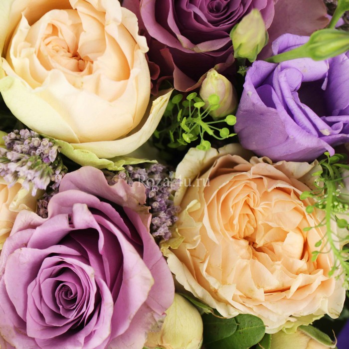 Летний привет