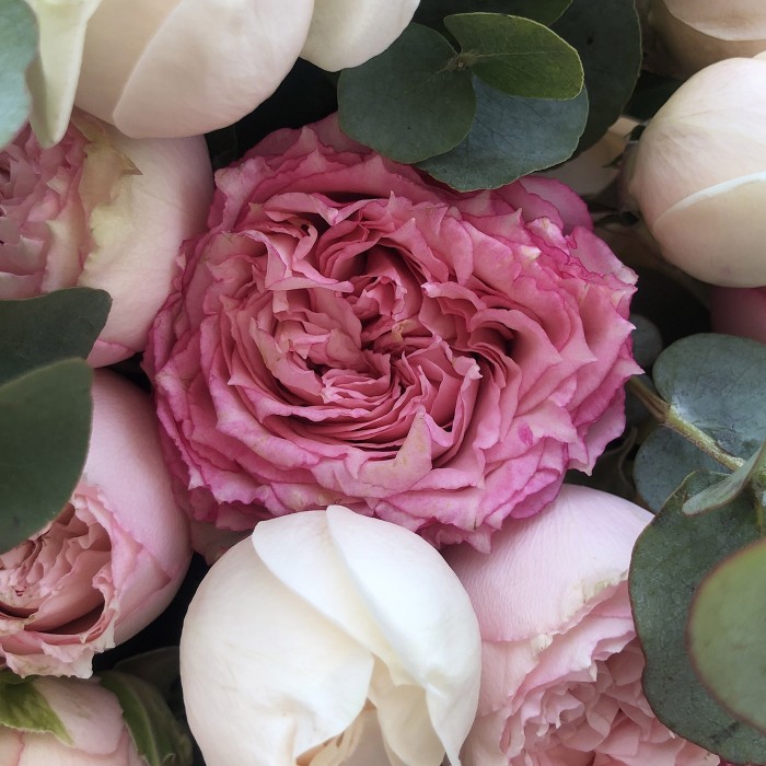 Утро в Милане