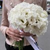 Букет невесты из белых эустом