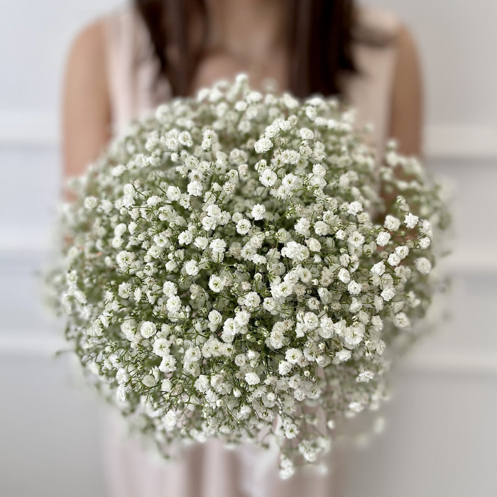 Букет невесты из гипсофилы