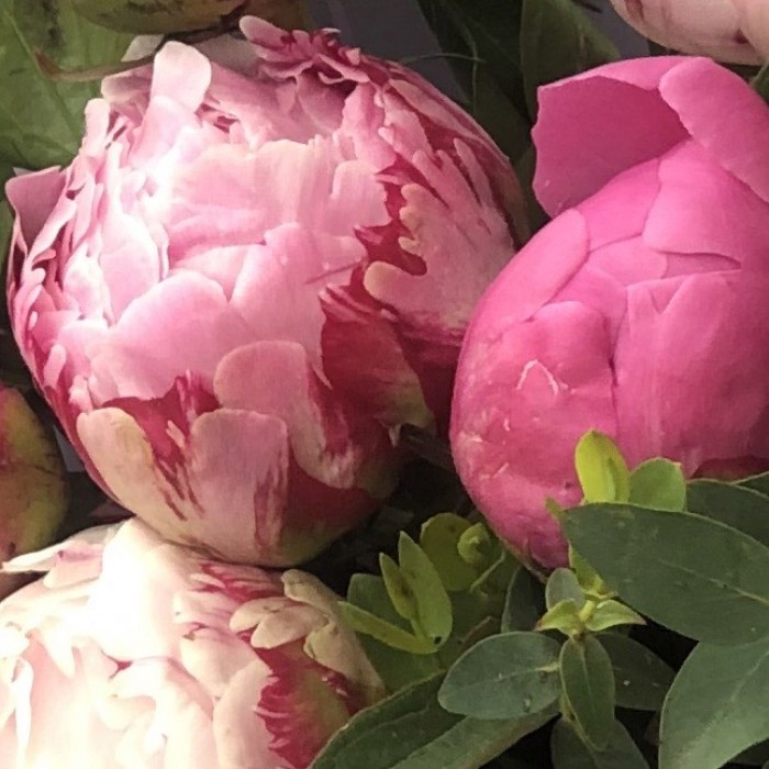 Букет из пионов с эвкалиптом