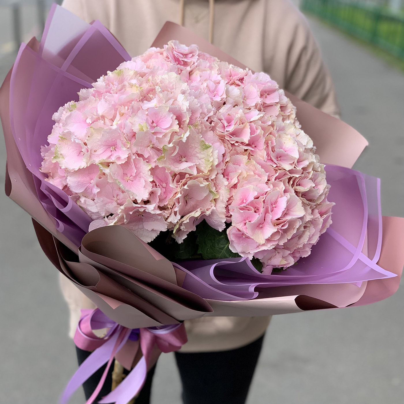 Гортензии с доставкой москва доставки цветов по украине