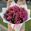 25 ярко-розовых кустовых пионовидных роз Пинк Пиано