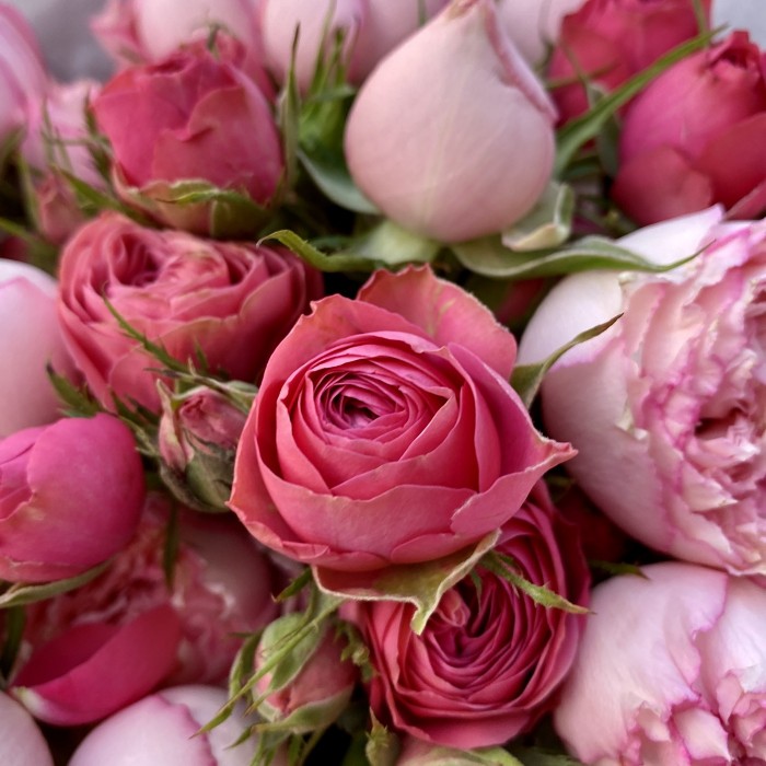 Букет розовых пионовидных роз
