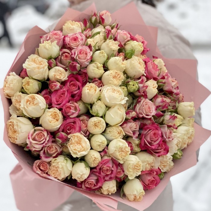 Дуэт розы Саммер и Флиндер Лейн