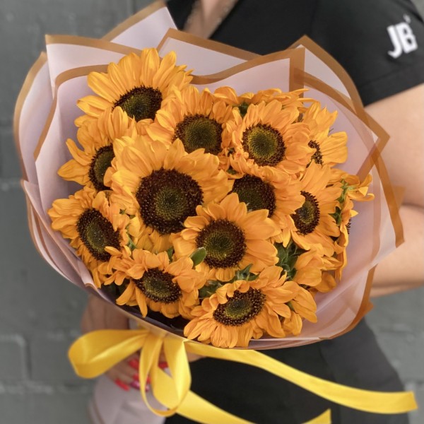 15 подсолнухов Соня