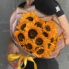 15 подсолнухов Соня