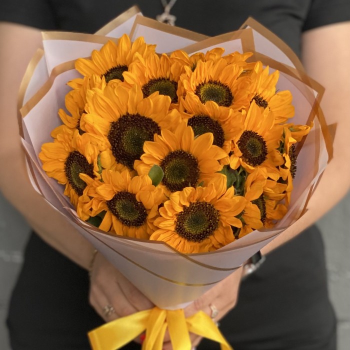 15 подсолнухов Соня