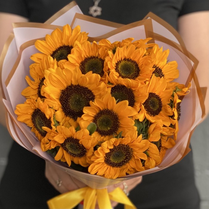 15 подсолнухов Соня