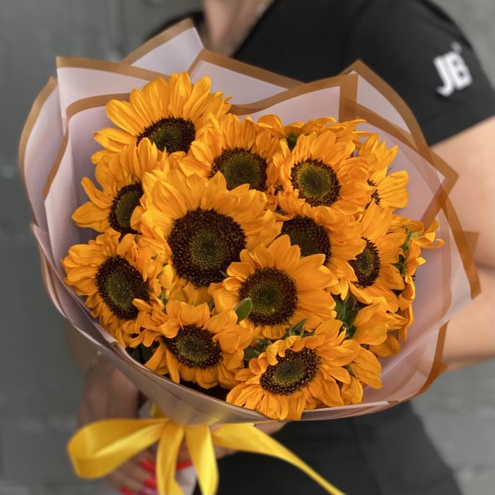 15 подсолнухов Соня