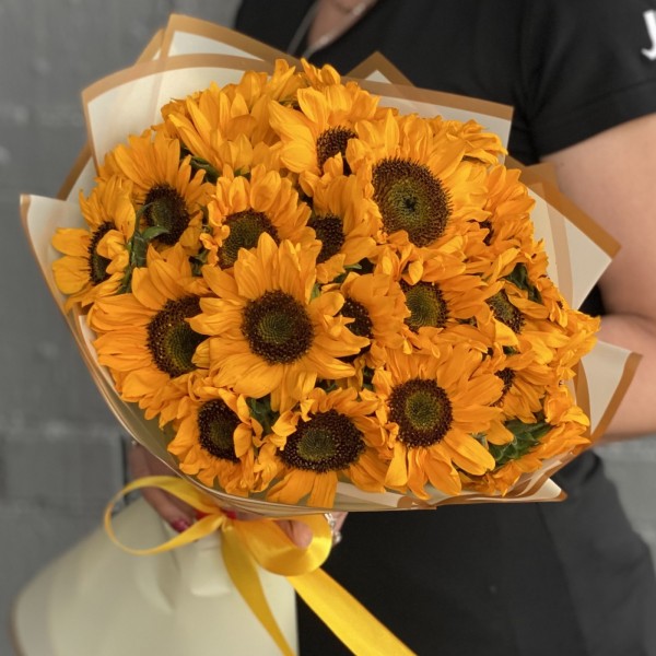 25 подсолнухов Соня