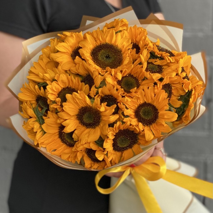 25 подсолнухов Соня