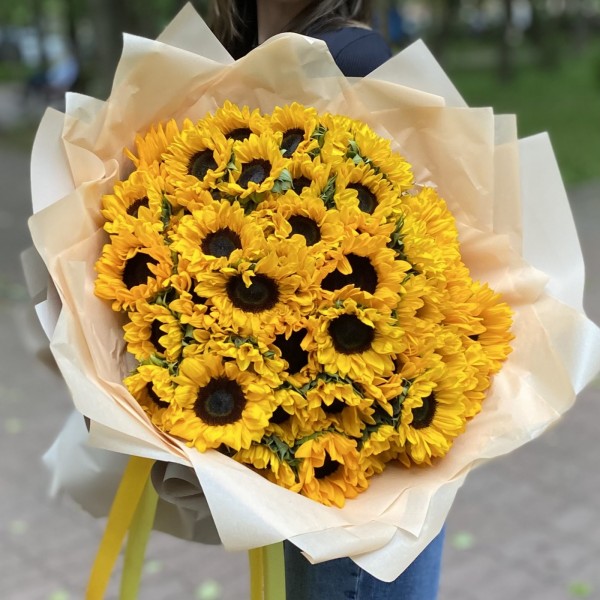 51 подсолнух