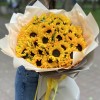 51 подсолнух