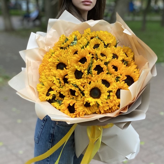 51 подсолнух