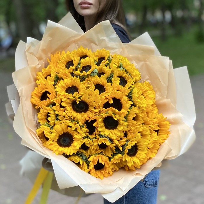 51 подсолнух