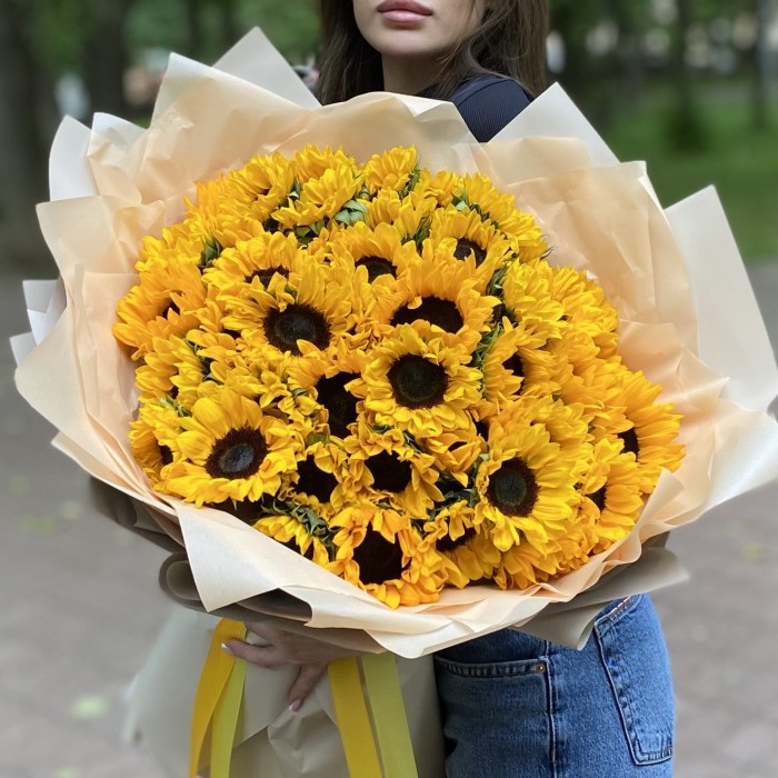 51 подсолнух