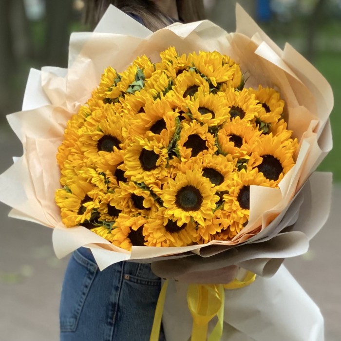 51 подсолнух