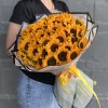 51 подсолнух Соня