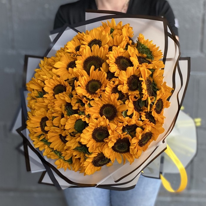 51 подсолнух Соня