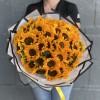 51 подсолнух Соня