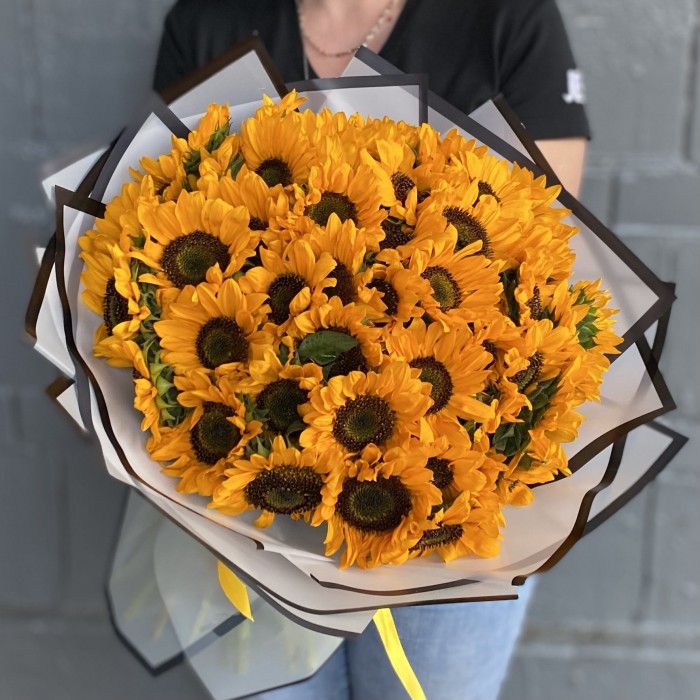 51 подсолнух Соня