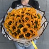 51 подсолнух Соня