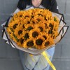 51 подсолнух Соня