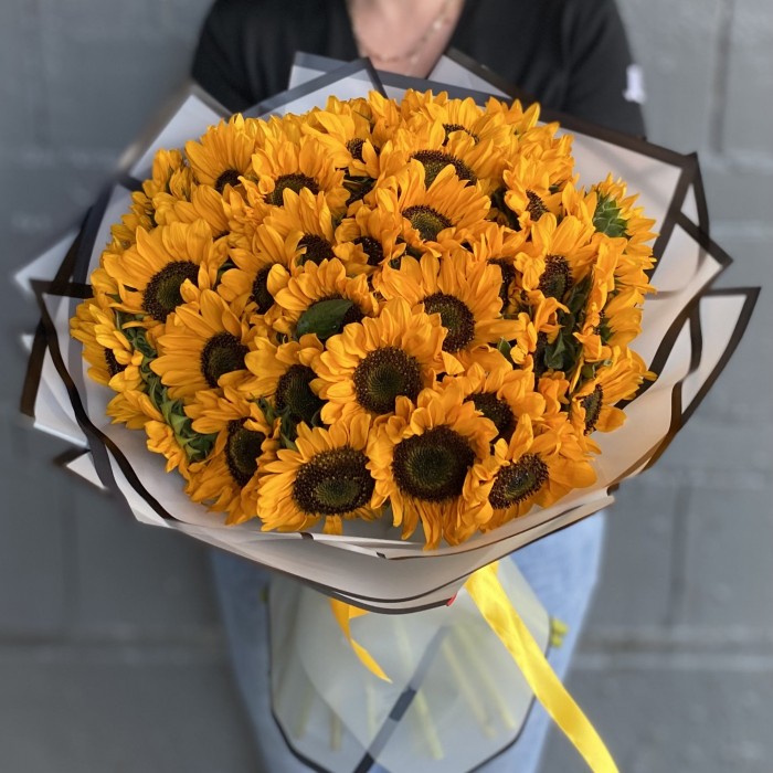 51 подсолнух Соня