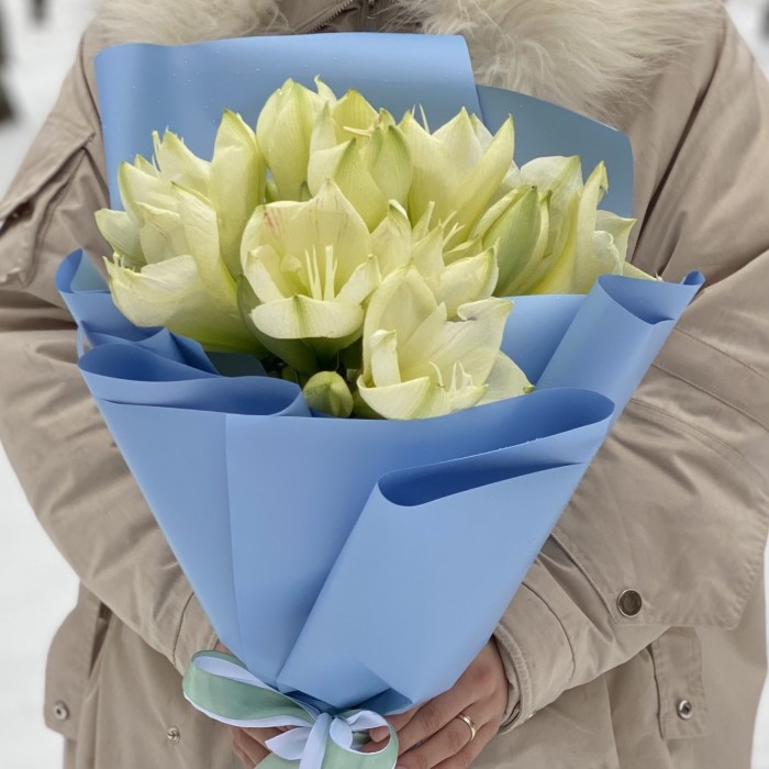 Букет из пяти амариллисов