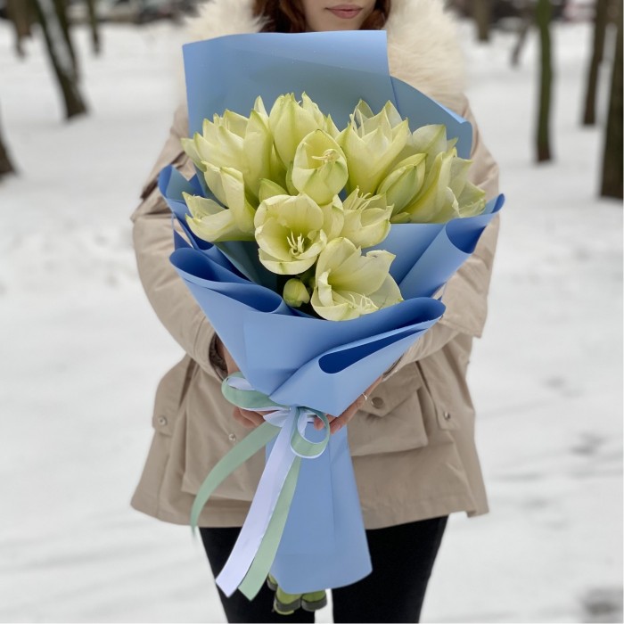 Букет из пяти амариллисов